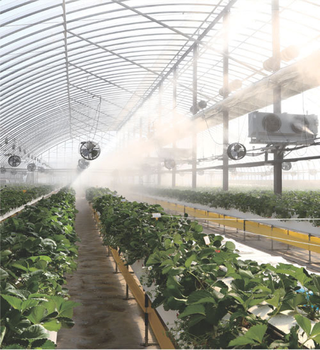 쿨링 온실·드론 활용 채소수급 조절… 스마트 농업 이끈다