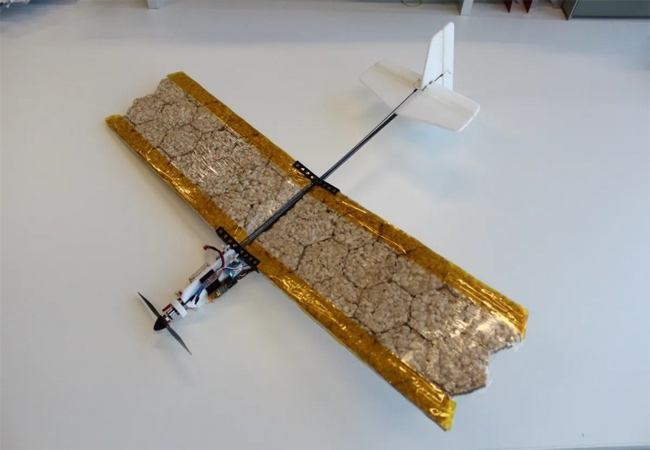 바삭바삭한 날개…'뻥튀기'로 만든 식용 드론, 시험 비행 성공