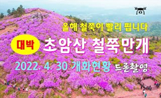 보성 초암산 철쭉만개 드론촬영 - 해산강(海山江) travel